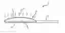 Fig. 01 - SCENT-PRODUCING BRUSH