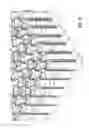 Fig. 17 - Pocketed spring assembly comprising strings of springs of different heights and enhanced ventilation