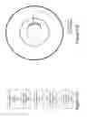Fig. 12 - Procedural optical coherence tomography (OCT) for surgery and related methods