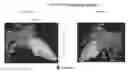 Fig. 01 - Body structure imaging