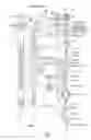 Fig. 02 - Body structure imaging