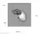 Fig. 15 - Body structure imaging