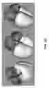 Fig. 27 - Body structure imaging