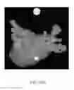 Fig. 35 - Body structure imaging