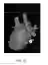Fig. 41 - Body structure imaging