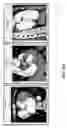 Fig. 56 - Body structure imaging