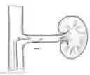 Fig. 01 - METHODS AND DEVICES FOR DETECTING NERVE ACTIVITY