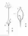 Fig. 03 - METHODS AND DEVICES FOR DETECTING NERVE ACTIVITY
