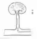 Fig. 16 - METHODS AND DEVICES FOR DETECTING NERVE ACTIVITY