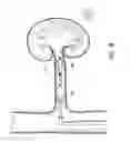 Fig. 18 - METHODS AND DEVICES FOR DETECTING NERVE ACTIVITY