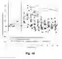 Fig. 11 - Assessing endothelial function using a blood pressure cuff