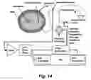 Fig. 16 - Assessing endothelial function using a blood pressure cuff