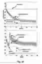 Fig. 22 - Assessing endothelial function using a blood pressure cuff