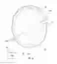 Fig. 07 - Apparatus and methods for detecting increase in intracranial pressure