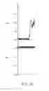 Fig. 08 - Heart rate meter and method thereof