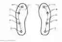 Fig. 01 - METHOD FOR DETERMINING AN INDIVIDUAL'S WEIGHT AND INSOLE FOR THE IMPLEMENTATION THEREOF