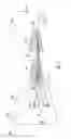 Fig. 09 - Intraoral tomosynthesis systems, methods, and computer readable media for dental imaging