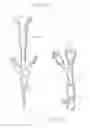 Fig. 15 - Endoscopic stone-extraction device