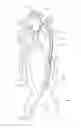Fig. 09 - Systems and methods for removing obstructive matter from body lumens and treating vascular defects