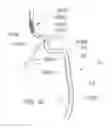 Fig. 29 - Systems and methods for removing obstructive matter from body lumens and treating vascular defects