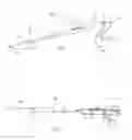 Fig. 02 - Surgical device with light