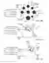 Fig. 08 - Basis data evaluation systems and methods