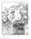 Fig. 04 - Unified three dimensional virtual craniofacial and dentition model and uses thereof
