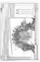Fig. 05 - Unified three dimensional virtual craniofacial and dentition model and uses thereof
