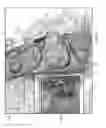 Fig. 10 - Unified three dimensional virtual craniofacial and dentition model and uses thereof