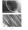 Fig. 03 - Small Diameter Vascular Graft Produced by a Hybrid Method