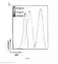 Fig. 09 - Small Diameter Vascular Graft Produced by a Hybrid Method