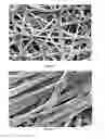 Fig. 14 - Small Diameter Vascular Graft Produced by a Hybrid Method