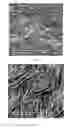 Fig. 16 - Small Diameter Vascular Graft Produced by a Hybrid Method