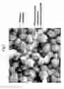 Fig. 05 - Method for use of a double-structured tissue implant for treatment of tissue defects