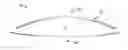 Fig. 01 - TORIC-DIFFRACTIVE LENS
