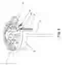 Fig. 09 - System and Method for Heart Valve Anchoring