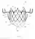 Fig. 11 - Prosthetic valve with vortice-inducing baffle