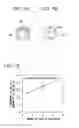 Fig. 09 - MEDICAL DEVICE AND SURFACE MODIFICATION METHOD FOR MEDICAL DEVICE
