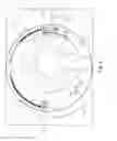 Fig. 03 - Display for ophthalmic surgical console with user-selectable sectors