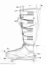 Fig. 01 - Compressive therapeutic device