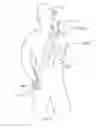 Fig. 06 - Massage Apparatus and Methods of Use