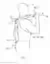 Fig. 08 - Massage Apparatus and Methods of Use