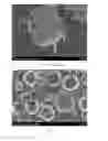Fig. 05 - Sodium bicarbonate particles manufactured by atomization