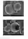 Fig. 06 - Sodium bicarbonate particles manufactured by atomization