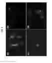 Fig. 09 - Gas-generating nanoparticle