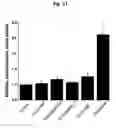 Fig. 12 - Gas-generating nanoparticle