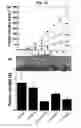 Fig. 13 - Gas-generating nanoparticle