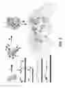 Fig. 02 - Enzyme responsive nanocapsules for protein delivery