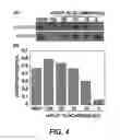 Fig. 05 - Enzyme responsive nanocapsules for protein delivery