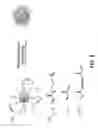 Fig. 10 - Enzyme responsive nanocapsules for protein delivery
